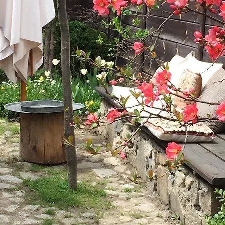 Darina Bed and Breakfast