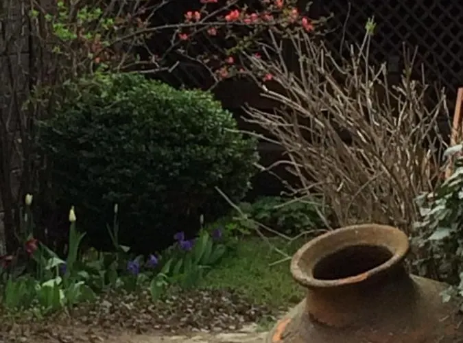 Darina 2* Koprivștița